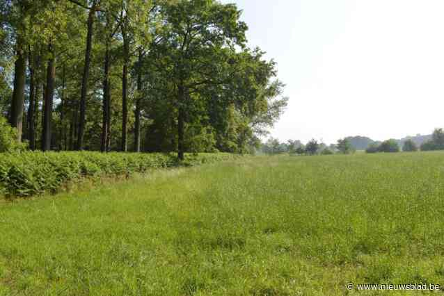Raadslid Ward Belmans (Groen): ”Motorcross vlak naast meest waardevol bos van onze gemeente is onaanvaardbaar”