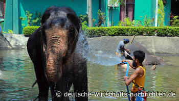 Sri Lanka und Iran starten Tauschhandel