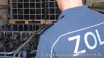 Ulmer Zoll stoppt illegale Ausfuhr von 20 Tonnen Gummiabfall
