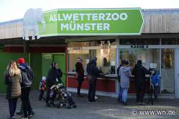 Tragödie im Allwetterzoo um sterbenden Jungstorch