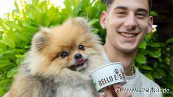 „Hunde mögen Vanille-Eis“
