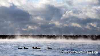 Ontario banning floating homes on provincial waterways