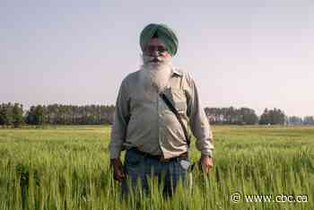Meet the man leading the research that has benefited farmers across Northern Ontario