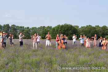 WDR-Funkhausorchester spielt im Lavendelfeld in Corvey Tschaikowskys „Nussknacker“