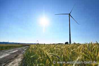 Willebadessen: Pläne des Landes zwingen Rat zum Windkraft-Endspurt