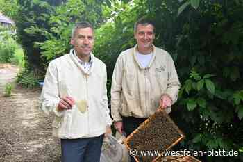 Bienen im Wurzgarten in Büren liefern Honig und nützen der Umwelt