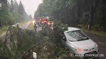 Baum vom Blitz getroffen und Auto vom Baum erwischt