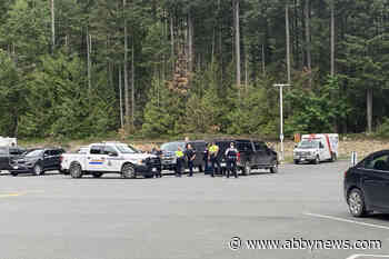 Hope RCMP investigating 2 suspects after a man was assaulted