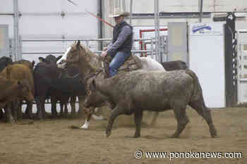 Exciting events happening at Calnash Ag Event Centre during Stampede Week