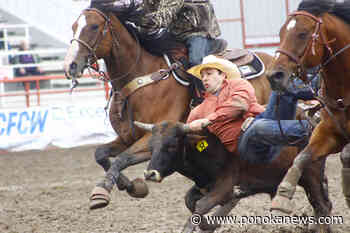 2023 Ponoka Stampede: Welcome to the Largest 7-day pro rodeo in Canada