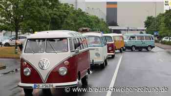 Bulli-Festival 2023: Bunter Bulli-Konvoi begeistert Fans