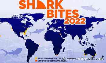 World's shark attack hotspots REVEALED: Map reveals the areas with the most encounters