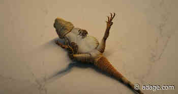 Apple’s ‘R.I.P. Leon’ and CALM’s ‘The Last Photo’ win Film Grand Prix at Cannes