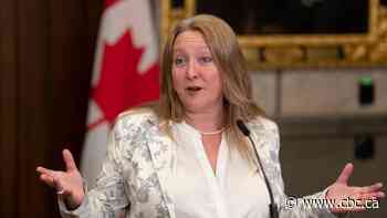 Minister focused on better access to information service amid calls for legislative overhaul