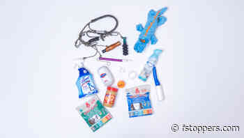 Unleash the Fun: Must-Have Tools for Pawsome Pet Portrait Sessions