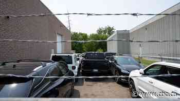 York police recover 161 stolen vehicles worth more than $10 million