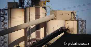 Alberta floods caused coal mine wastewater to run into environment: regulator