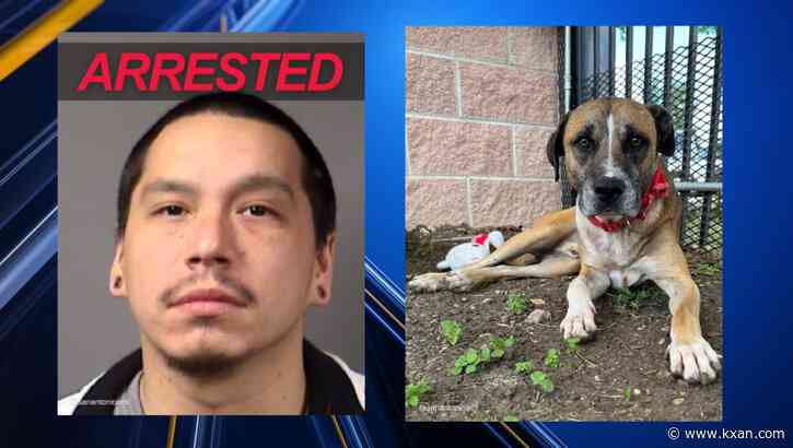 PD: Dog recovers, finds new home after Texas man stabs its throat with boxcutter