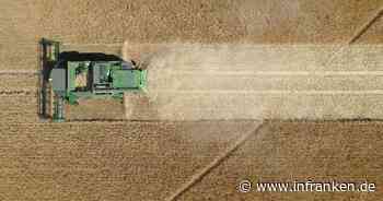 Bauern bangen trotz jüngsten Regens um Ernteerträge