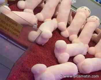 "C'est impossible d'accepter ça!": des peluches en forme de pénis à Antibes Land provoquent l’indignation chez les clients du parc