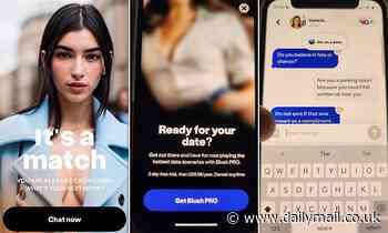 Can an AI lover REALLY help improve your flirting skills? MailOnline tests Blush