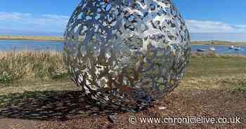 'Bord waalk' sculpture trail inspired by birds of the Northumberland Coast launched in Amble