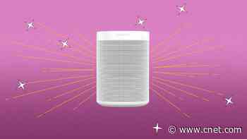 Best Sonos Speakers for 2023     - CNET