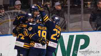 Northern Alberta junior hockey team on thin ice due to pandemic debt