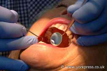 York Dental Crisis: Government spells out what it is doing to help