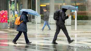 Weather, conservation agencies warn heavy rainfall can bring flash floods throughout GTA