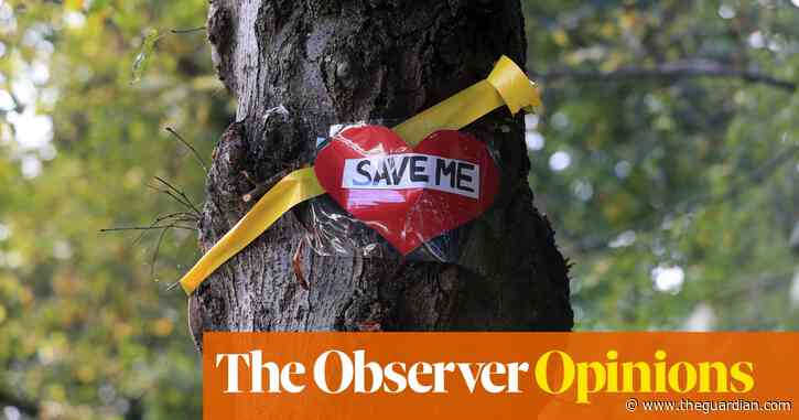 It felt good to care about my community – before I was sent down a moral cul-de-sac | Rachel Cooke