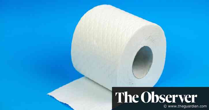 Caught short: lack of recycled toilet paper in UK ‘fuelling deforestation’