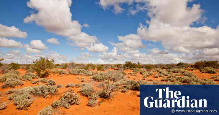 Beyond the fence: what does it mean to rewild the Australian desert?