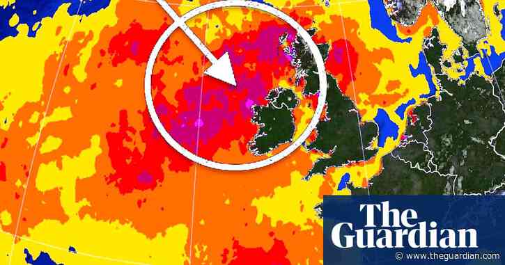 What you need to know about the 'extreme' heatwave hitting our oceans – video explainer