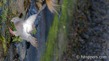 Surprising Ways That Bad Images Improve Your Photography