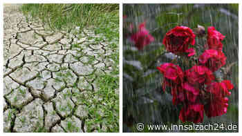 Zwischen Dürre und Starkregen: Gut vorbereitet auf Extremwetter