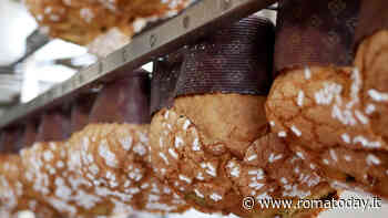 Apre a Roma Dolcemascolo, la famosa pasticceria di Frosinone