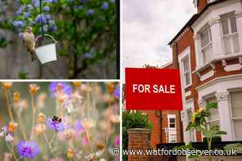Wildlife garden could add £27k to your house value