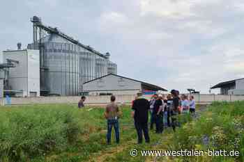 Hohenwepel: Landwirte informieren sich beim Feldtag