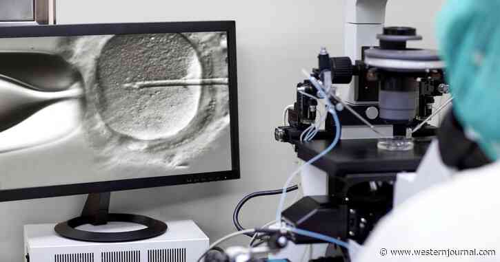 Ungodly: Scientists Create First Synthetic Human Embryos in Near Sidestep of UK Ethics Legislation