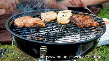 Grillplätze in Wolfsburg: Hier darf gegrillt werden
