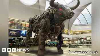 Birmingham Commonwealth Games bull named after Ozzy Osbourne