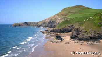 Can a $148 Full Frame Autofocus Lens Produce Good Images?