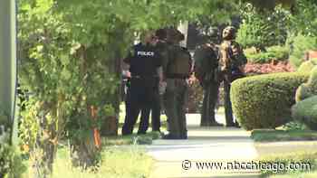 Armed standoff ends peacefully in Schiller Park, police say