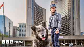 Why 101 people and a dog want to be Toronto's mayor