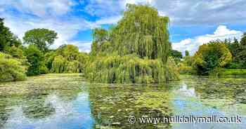 I set out to find East Yorkshire's beautiful hidden lake