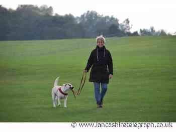 Ribble Valley dog control order set for renewal