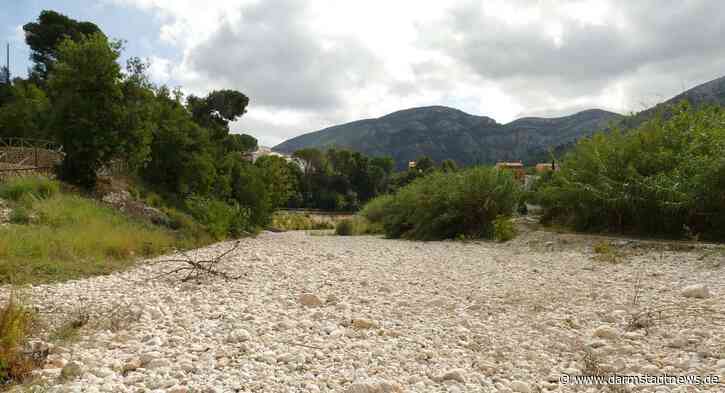 In Bächen wird das Wasser knapp: Obere Wasserbehörde ruft zum Schonen der Gewässer auf