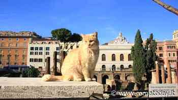 Diritti degli animali: 7 mesi dopo il bando il sindaco non ha ancora scelto “il garante”