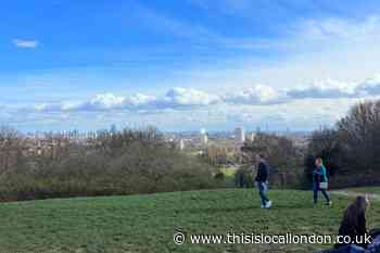 Appeal after indecent exposures in Hampstead Heath